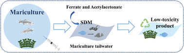 Graphical abstract: Ferrate–acetylacetonate system to promote the degradation of sulfadimethoxine in mariculture tailwater