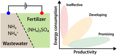 Graphical abstract: A mini-review on performance metrics for electrochemically mediated ammonia recovery from wastewater