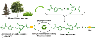 Graphical abstract: Closed-loop chemically recyclable aromatic polyesters based on asymmetric dicarboxylates obtainable from lignocellulose