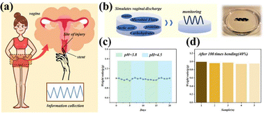 Graphical abstract: A bioinspired helical hydrogel scaffold with real-time sensing for enhanced precision in gynecological digital vaginal examination