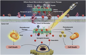 Graphical abstract: Smart MXene-based microrobots for targeted drug delivery and synergistic therapies