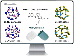 Graphical abstract: Comparative study of the therapeutic potential of C24, C32, B12N12, and B16N16 nanocages as drug delivery carriers for delivering an erlotinib derivative: DFT and QTAIM investigations