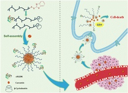 Graphical abstract: Redox-responsive micellar nanoparticles using benzothiazole-disulfide terminated polymers: employing host–guest complexation for targeted delivery of curcumin