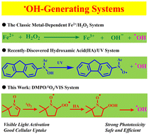 Graphical abstract: Unusual singlet oxygen-dependent hydroxyl radical production by a unique ruthenium-polypyridyl-hydroxamate complex under visible light irradiation