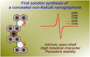 Graphical abstract: A persistent concealed non-Kekulé nanographene: synthesis and in situ characterization