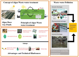 Graphical abstract: Wastewater treatment by algae-based membrane bioreactors: a review of the arrangement of a membrane reactor, physico-chemical properties, advantages and challenges