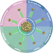 Graphical abstract: Revolutionizing applications: the impact of controlled surface chemistry on marble powder