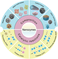 Graphical abstract: Nanozymes: a promising solution for dental antibacterial applications