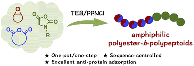 Graphical abstract: Easy access to amphiphilic nitrogenous block copolymers via switchable catalysis