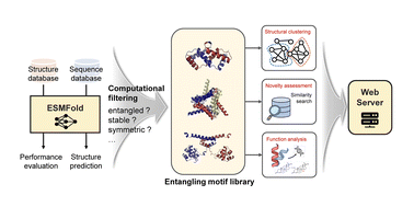 Graphical abstract: Computational discovery and systematic analysis of protein entangling motifs in nature: from algorithm to database