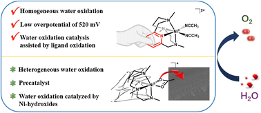 Graphical abstract: Efficient homogeneous electrochemical water oxidation catalysed by macrocyclic nickel complexes with redox non-innocent pyridine coordination structures