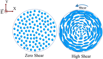 Graphical abstract: Effect of rotational shear on the dielectric dispersion of a nematic liquid crystal above the Freedericksz threshold field