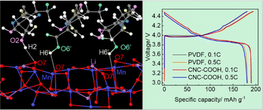 Graphical abstract: Environmentally sustainable lithium-ion battery cathode binders based on cellulose nanocrystals