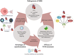Graphical abstract: Progress in Chinese medicine monomers and their nanoformulations on myocardial ischemia/reperfusion injury
