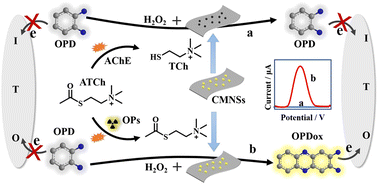 Graphical abstract: Representative modeling of biocompatible MXene nanocomposites for next-generation biomedical technologies and healthcare