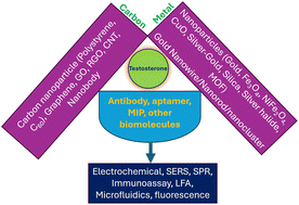 Graphical abstract: Recent advances in nanomaterial-based biosensors for testosterone detection