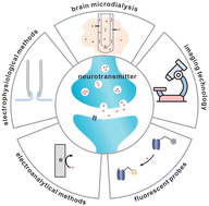 Graphical abstract: Research progress of technology for exocytosis detection in the nervous system