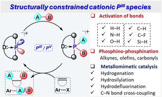 Graphical abstract: Advancing metallomimetic catalysis through structural constraints of cationic PIII species