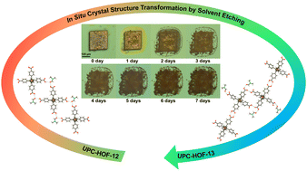 Graphical abstract: Solvent-etching-induced in situ crystal structure transformation in hydrogen-bonded organic frameworks