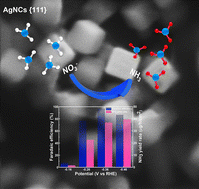 Graphical abstract: Enhanced electrocatalytic nitrate reduction to ammonia on silver nanocubes