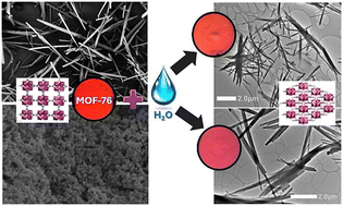 Graphical abstract: Time dependence of water-induced phase transition in nano- and microcrystalline Eu3+-doped MOF-76(Y): different luminescence responses with memory effect