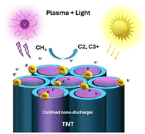 Graphical abstract: Synergistic effects of light and plasma catalysis on Au-modified TiO2 nanotube arrays for enhanced non-oxidative coupling of methane