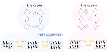 Graphical abstract: Cyano-bridged {Fe2Co} assemblies showing metamagnetic transition and a magnetocaloric effect