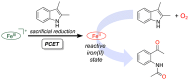 Graphical abstract: Mechanism of catalyst activation in iron(porphyrin)-catalysed aerobic oxidative cleavage of 2,3-dimethylindole