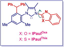 Graphical abstract: IPaulHet – spatially-defined, wingtip-flexible, N,C-chelating oxazole and thiazole donor N-heterocyclic carbene ligands