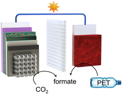 Graphical abstract: Photoelectrochemical comproportionation of pre-treated PET plastics and CO2 to formate