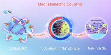 Graphical abstract: Magnetoelectric coupling drives ultrafast-charging MoS2 anodes for sodium-ion batteries