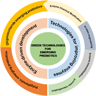 Graphical abstract: Developing and improving enzyme-driven technologies to synthesise emerging prebiotics