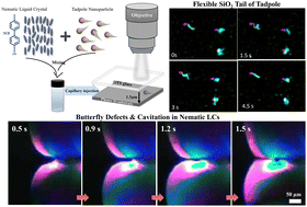Graphical abstract: Asymmetry-driven irregular topological defects and hydrodynamic cavitation of tadpole particles in nematic liquid crystals