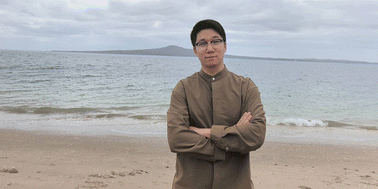 Graphical abstract: Nanoscale Horizons Emerging Investigator Series: Dr Siwen Zhang, Liaoning University, China