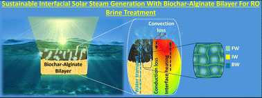 Graphical abstract: Sustainable interfacial solar steam generation with a biochar–alginate bilayer for RO brine treatment