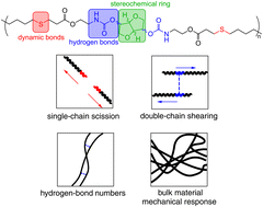 Graphical abstract: A computational framework for tuning intra- and intermolecular ductility in polyurethanes