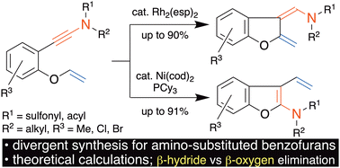 Graphical abstract: Diversity-oriented synthesis of poly-substituted benzofuran derivatives bearing amino groups at 2- or 3-positions: Rh- or Ni-catalyzed cycloisomerization between ynamides and enol ethers
