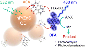 Graphical abstract: Photon upconversion with indium phosphide quantum dots enables high-energy photoreactions using visible light