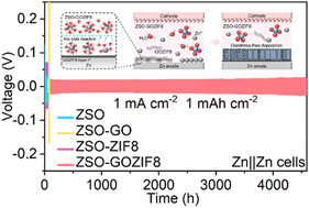Graphical abstract: The in situ solid electrolyte interphase formed using solid electrolyte additives for highly reversible zinc metal anodes