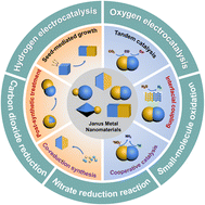 Graphical abstract: Recent advances in metal-based Janus nanomaterials: synthesis and electrocatalytic applications