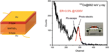 Graphical abstract: Solution-processed epitaxial growth of PIN photodiodes made of MAPbBr3 single crystals for high energy resolution gamma-ray spectroscopy