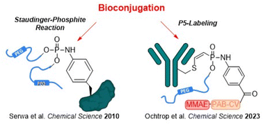 Graphical abstract: Reflection on “Site-specific PEGylation of proteins by a Staudinger-phosphite reaction”: from protein modification to ADCs in the clinic