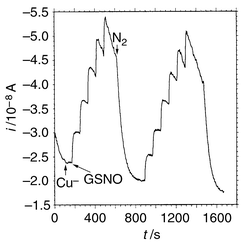 Differential pulse amperograms of the microsensor based on 
poly[Cu(TAPc)]–Nafion in deoxygenated PBS solution incubated at 37 
°C with successive additions of 5.0 × 10−5 mol 
L−1 GSNO in the presence of 1 × 
10−4 mol L−1 Cu+.