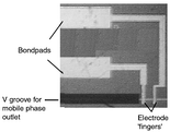 Platinum electrodes on-chip.
