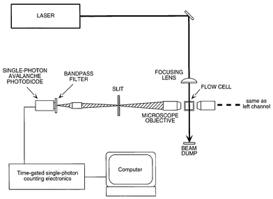 
            Schematic diagram of the two-color single molecule detector.
          