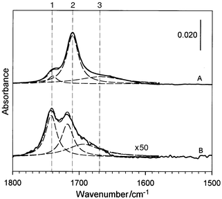 The IRS spectra for a MUA–Au5 nm network film (A), and 
a MUA monolayer (B). The dashed lines represent spectral deconvolution 
based on Lorentzian-type envelope.