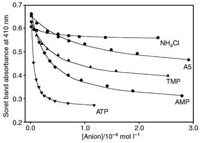 Non-linear least square fit of UV–visible titration curves for 
receptor R with selected anions. Conditions: AMP, ATP and TMP 
without buffer (see Table 1); A5 in water at pH 6.9 ± 0.2; 
NH4Cl in water without buffer at pH 7.9 ± 0.2.
