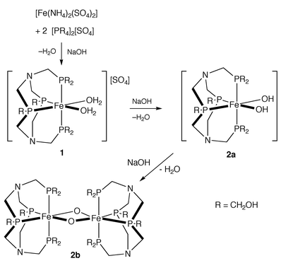 Proposed mechanism for formation of 1 and 2.
