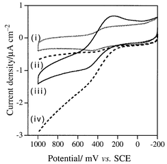 J–V curves for DEPD (1 mM, pH 4): (i) with the 
electrode prepared with the bare clay particles, in the dark; (ii) with the 
clay|AcH+ electrode, in the dark; (iii) with the 
electrode as in (a), under illumination; (iv) with the 
clay|AcH+ electrode as in (b), under illumination. Scan 
rate: 50 mV s−1.
