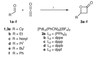 Reagents and conditions: i, 2, 
CH2Cl2. dppp = 1,3-bis(diphenylphosphino)propane, 
dppf = 1,1′-bis(diphenylphosphino)ferrocene.